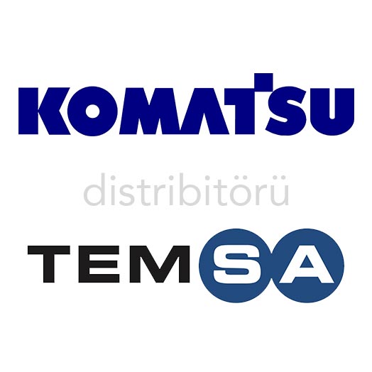 TEMSA